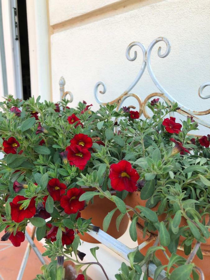 B & B Da Ferro Massarosa Exterior photo